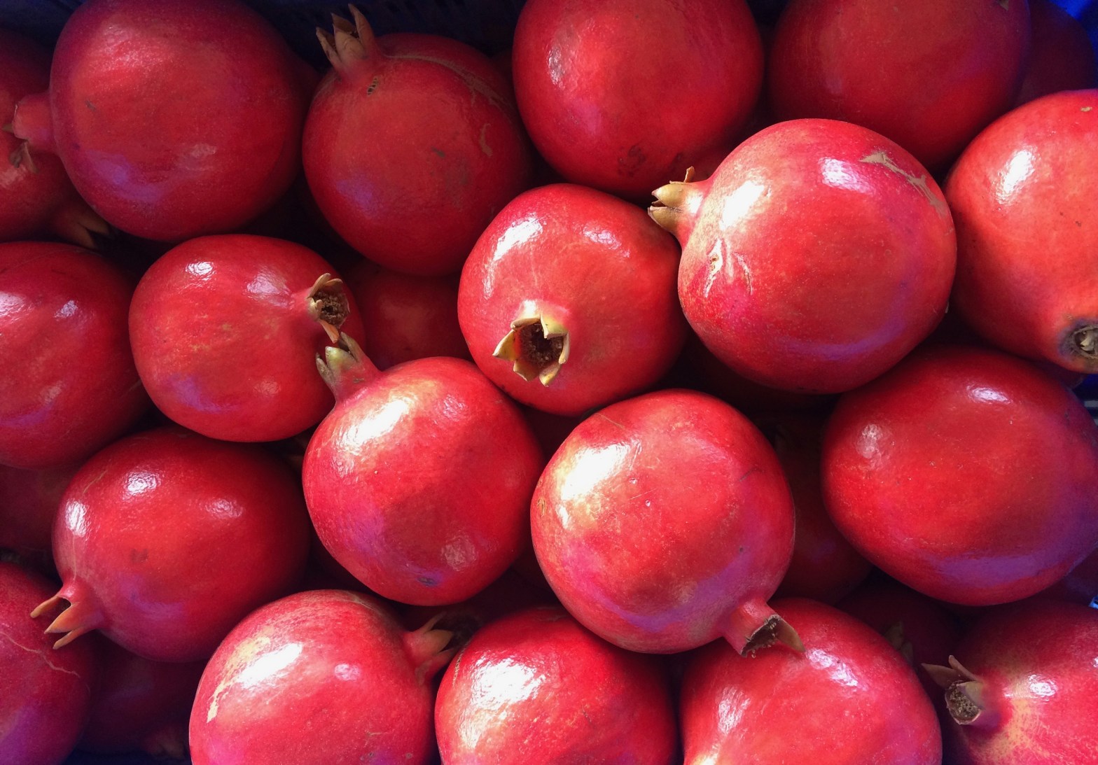 صادرات الرمان