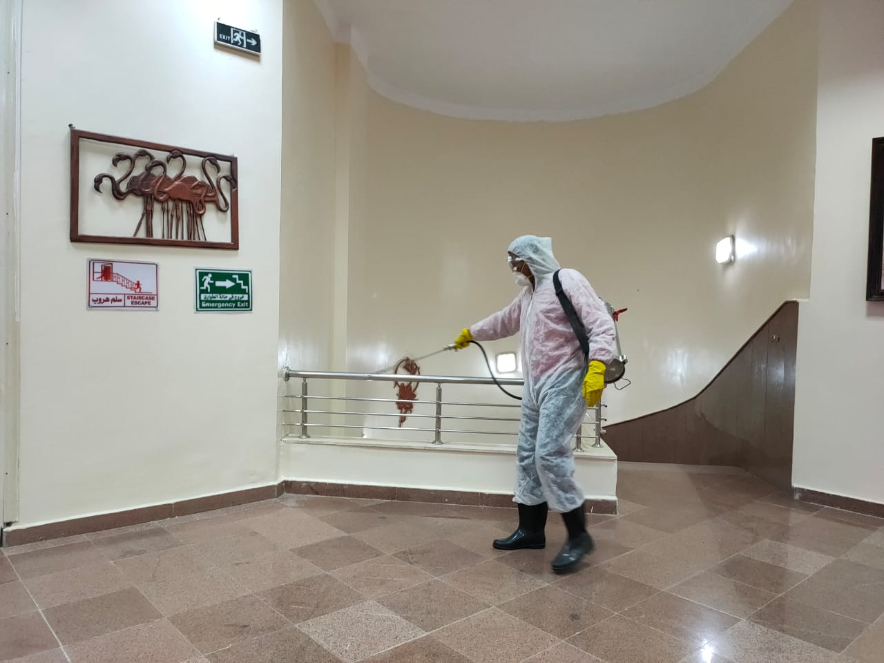 التطهير و التعقيم