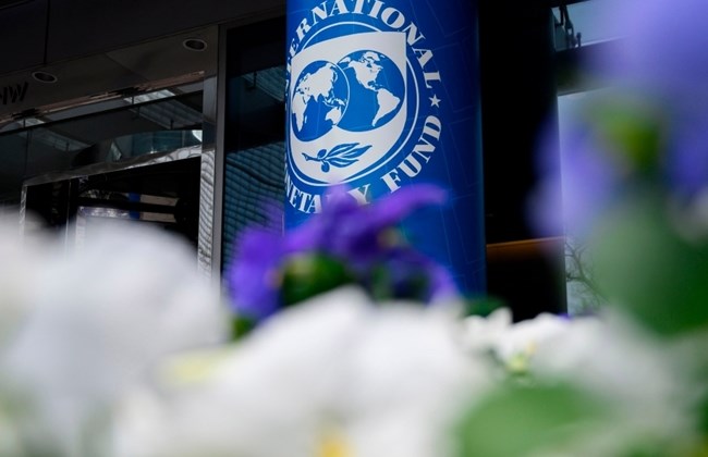 صندوق النقد الدولى