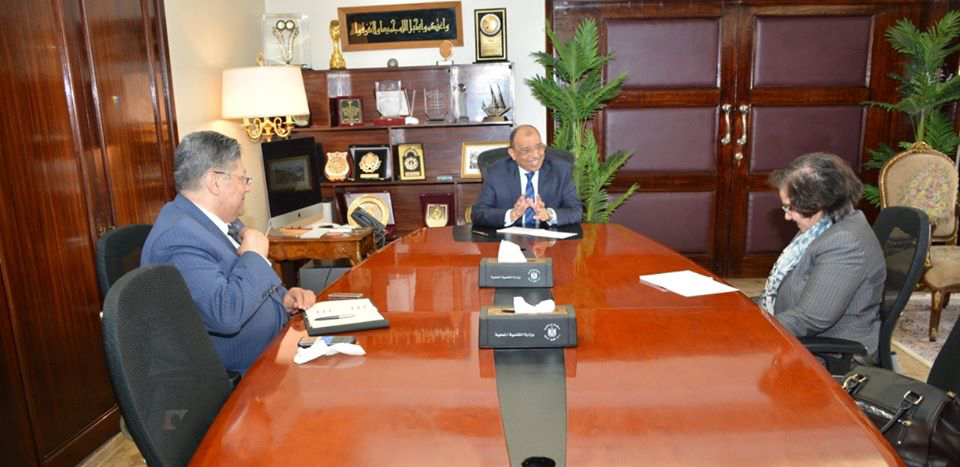 التنمية المحلية