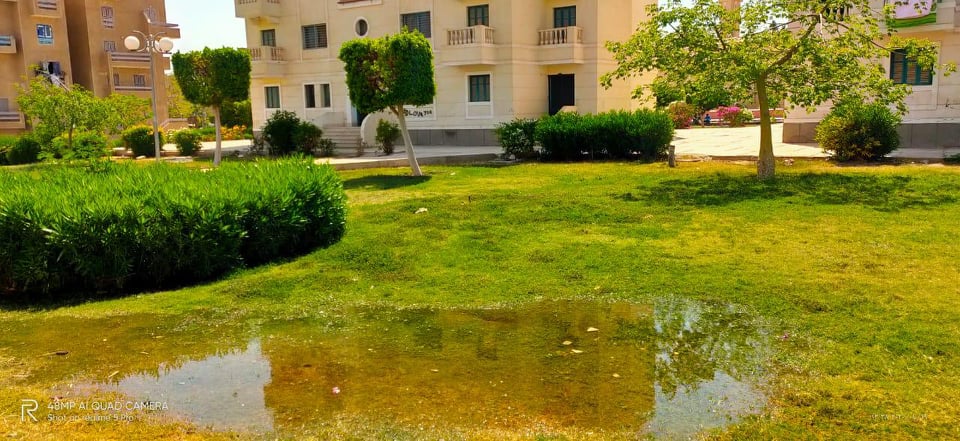 “6 أكتوبر الجديدة”: غمر الحدائق بالمياه لمنع تجمعات أعياد الربيع