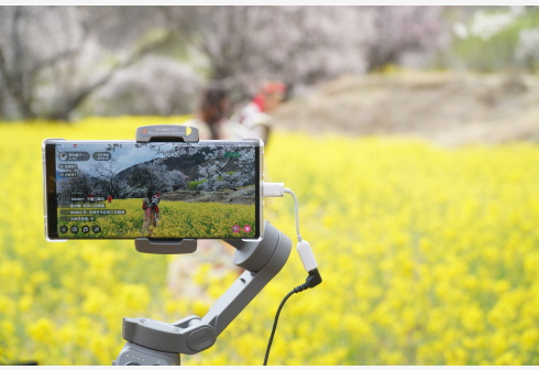 الصين ؛ الإنترنت ؛ الفيديو عبر الإنترنت