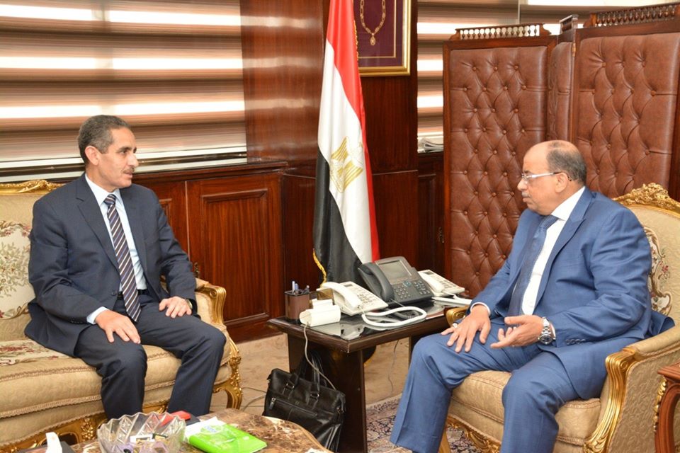 التنمية المحلية