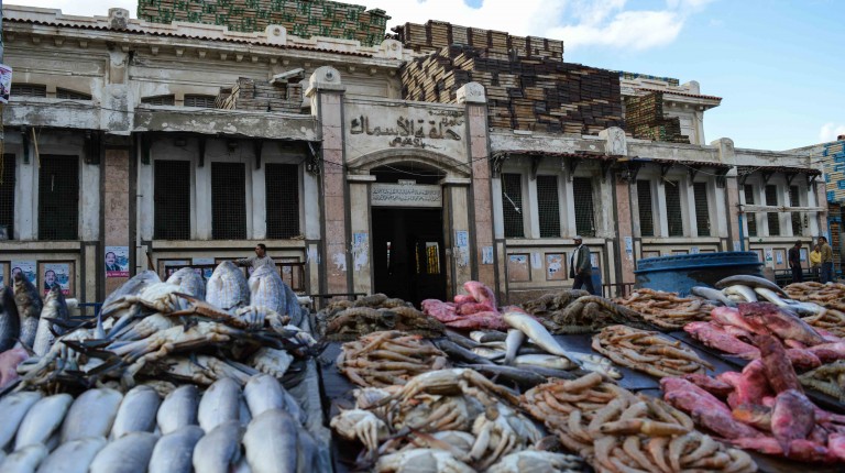 الأسماك ؛ السمك