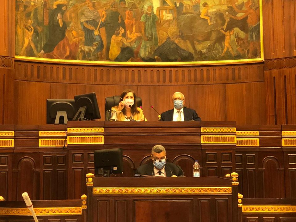 السعيد: نحتاج لإصدار قانون جديد للتخطيط بعد مرور 47 عاماً على القانون الحالى