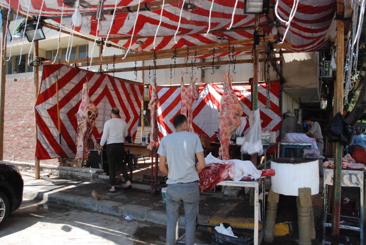 شوادر الأضاحى ؛ الفراشة