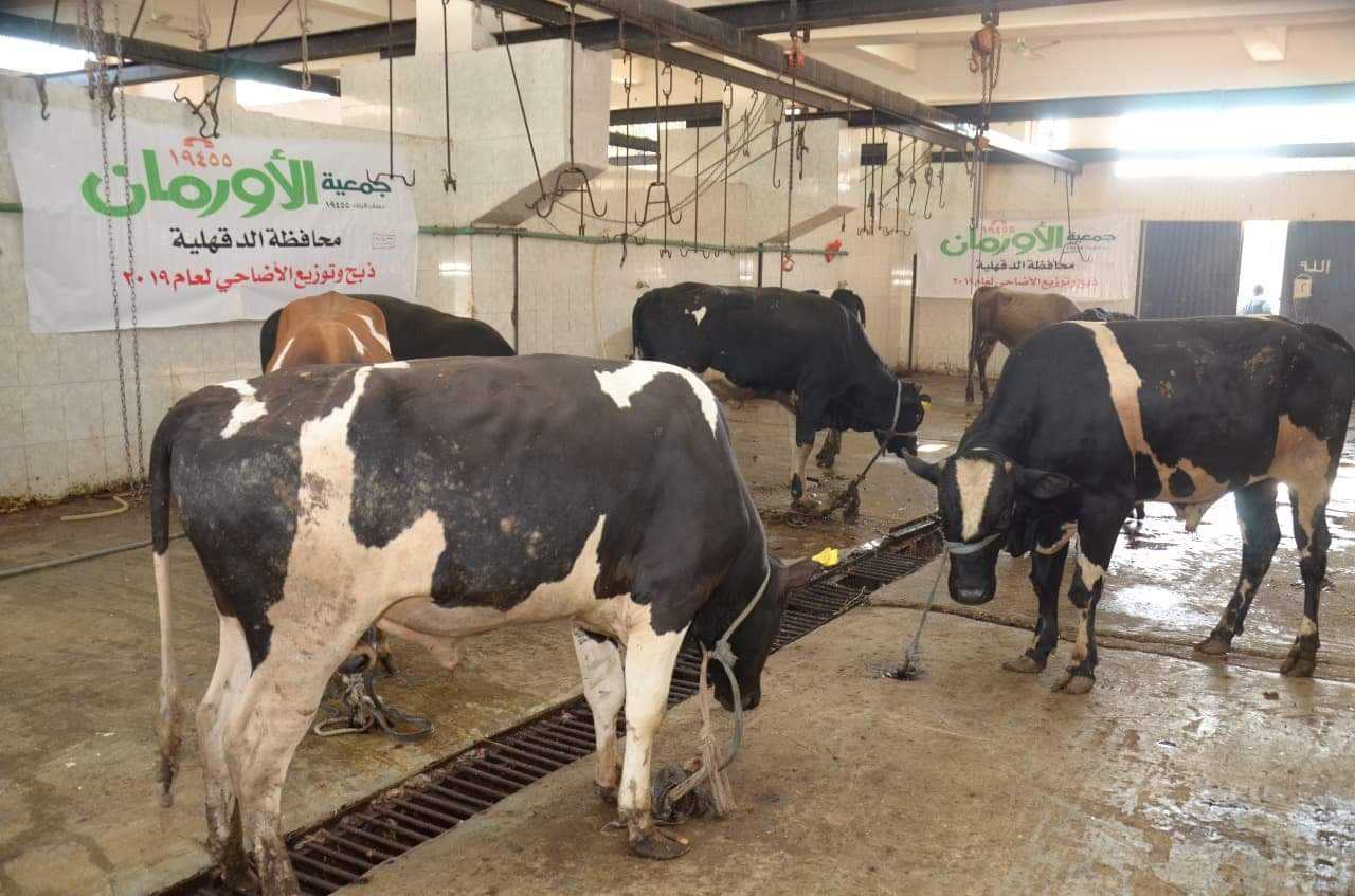 جمعية الأورمان