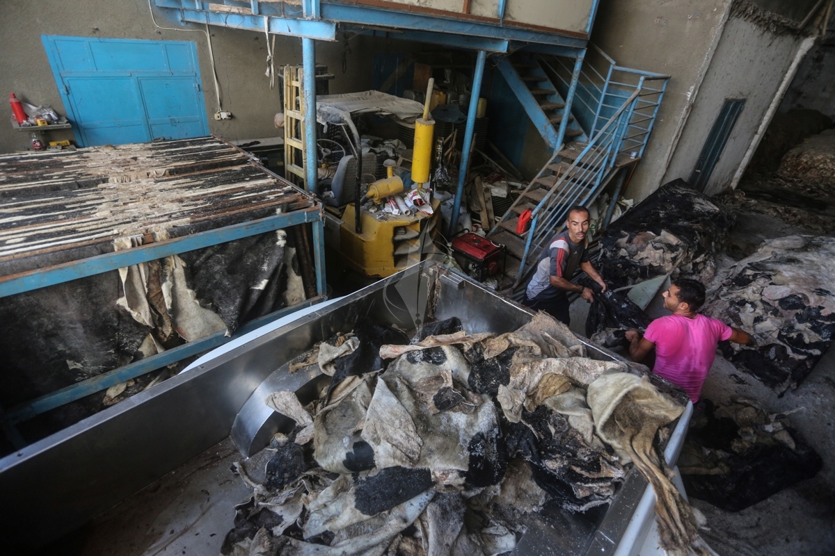 جلود الأضاحى ؛ الجلود