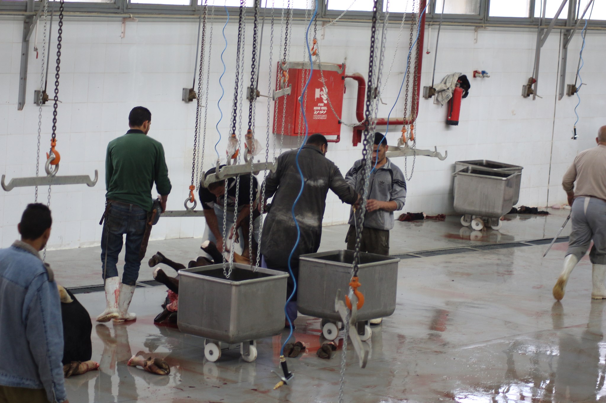 مجزر 15 مايو