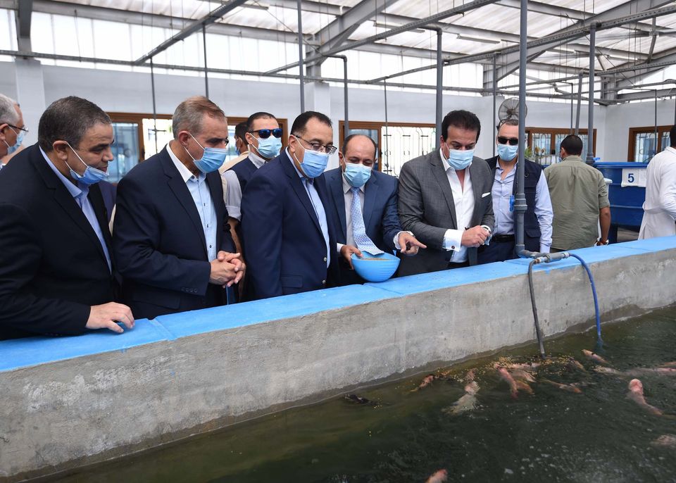 “الوزراء”: محافظة كفر الشيخ تنتج 40% من الإنتاج السمكى فى مصر