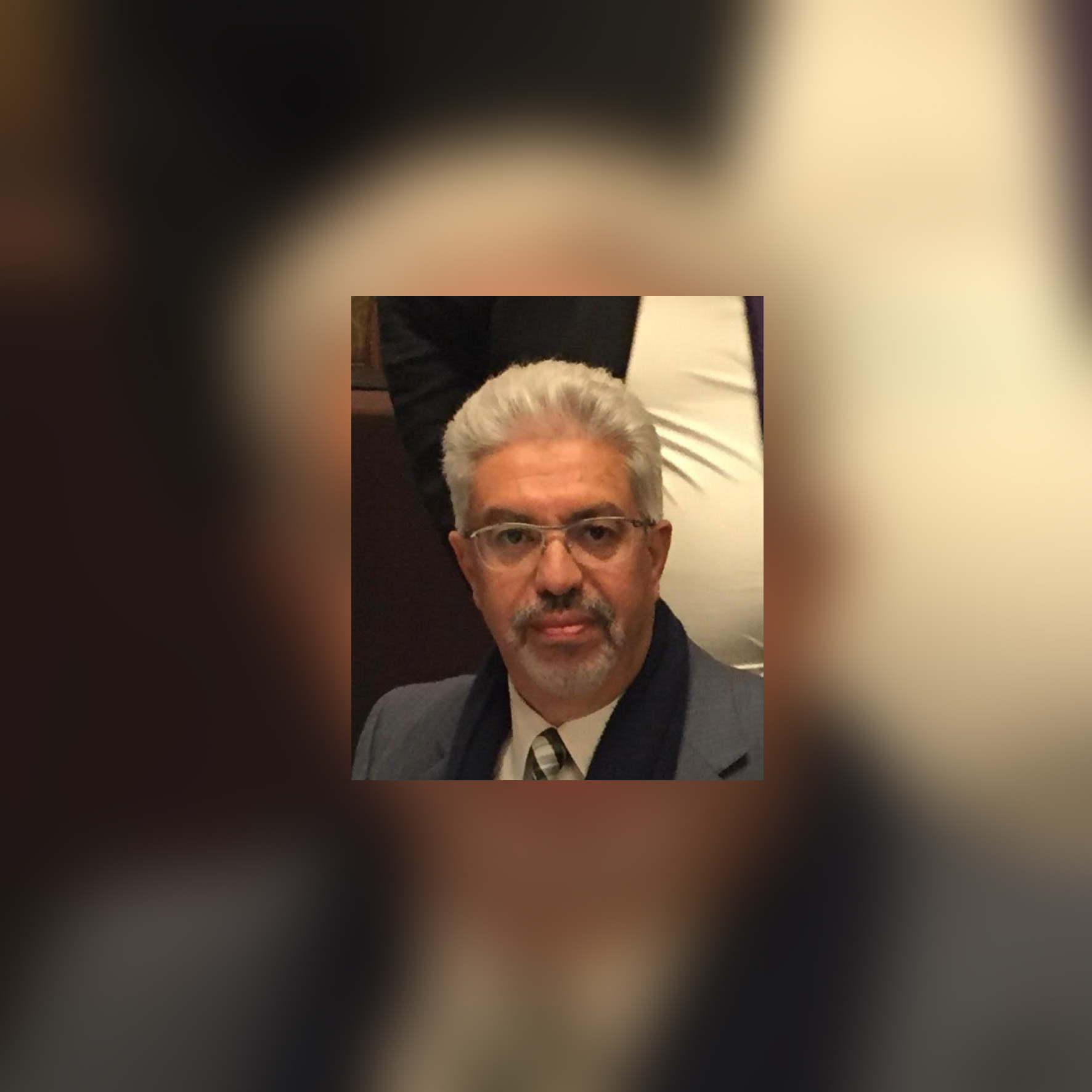 هانى ميلاد رئيس شعبة الذهب بالغرفة التجارية بالقاهرة ورئيس مجلس إدارة شركة جيد جولد