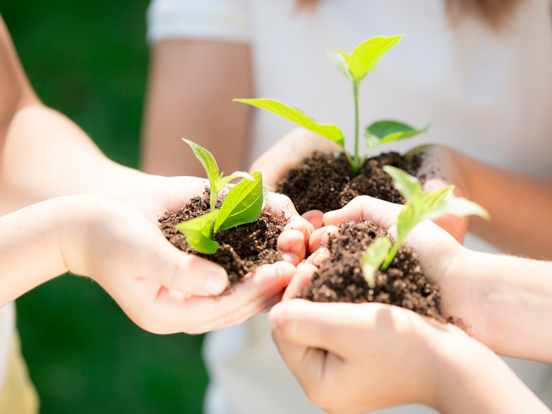 المسئولية المجتمعية