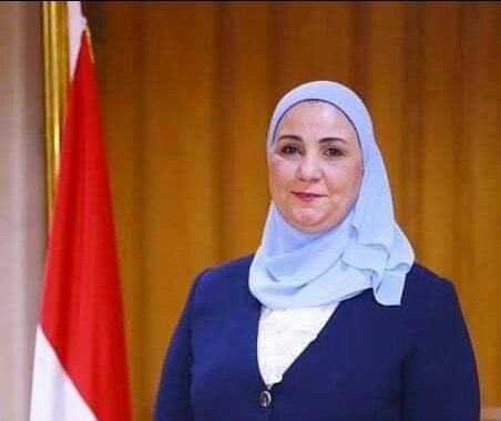 إطلاق المنصة الإلكترونية لمؤسسات المجتمع المدنى قبل نهاية مارس الجارى