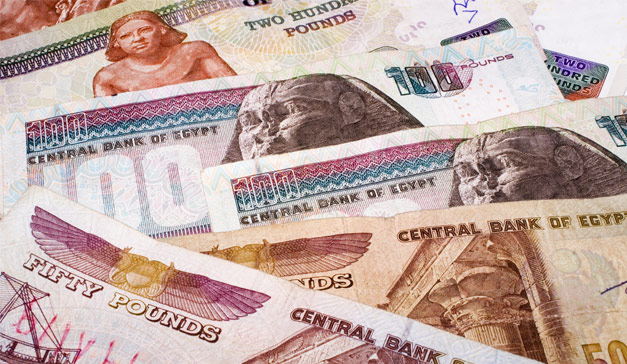 الجنيه ؛ الاقتصاد المصرى ؛ الفائدة ؛ العملة
