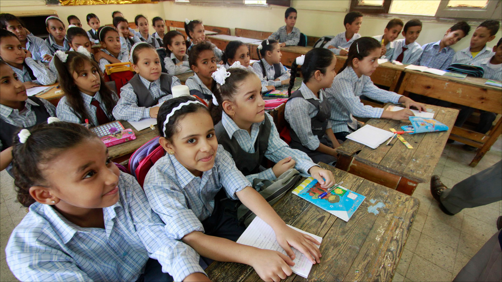 قطاع التعليم ؛ المدارس