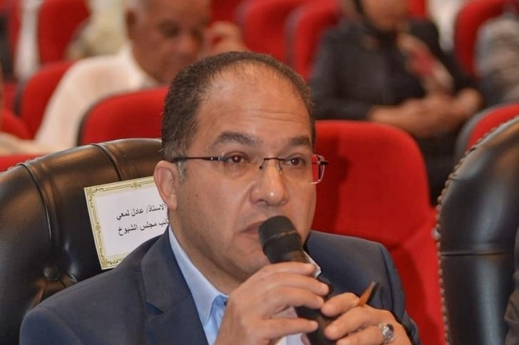 عادل اللمعي عضو مجلس الشيوخ ورئيس غرفة ملاحة بورسعيد