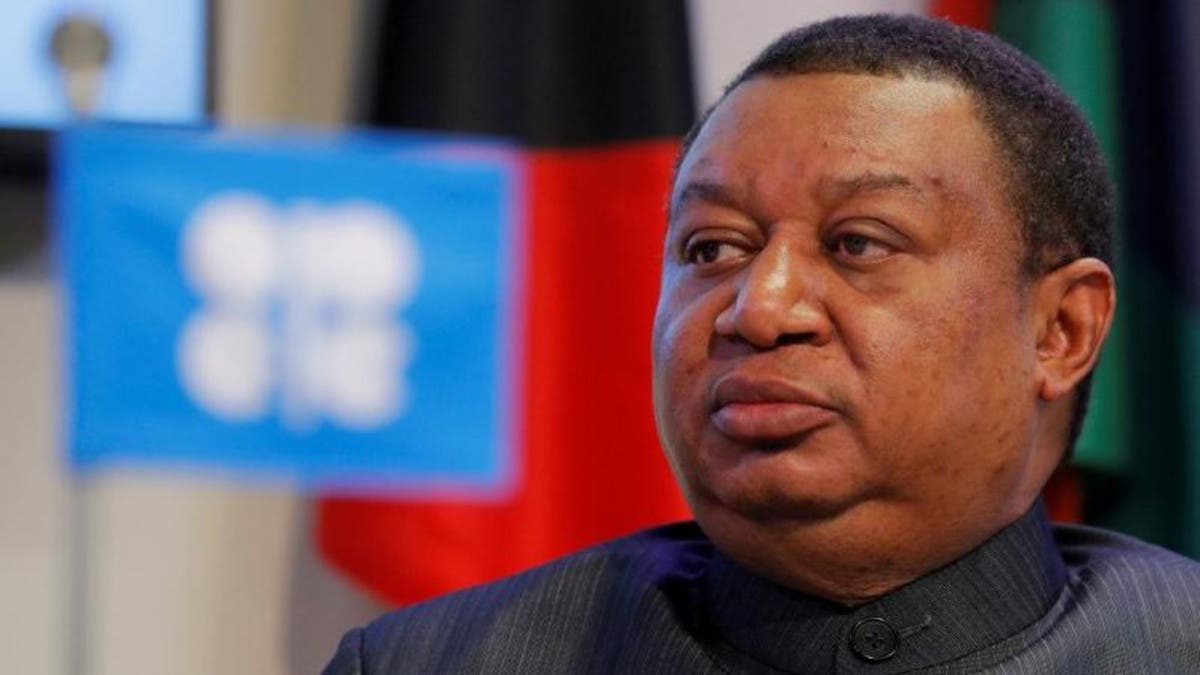 أمين عام أوبك: التحول إلى الطاقة المتجددة يرفع أسعار الغاز