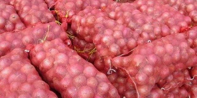 “السعودية” تستقبل 107 حاويات بصل مصرى بعد تفعيل منظومة “شهادة المطابقة”