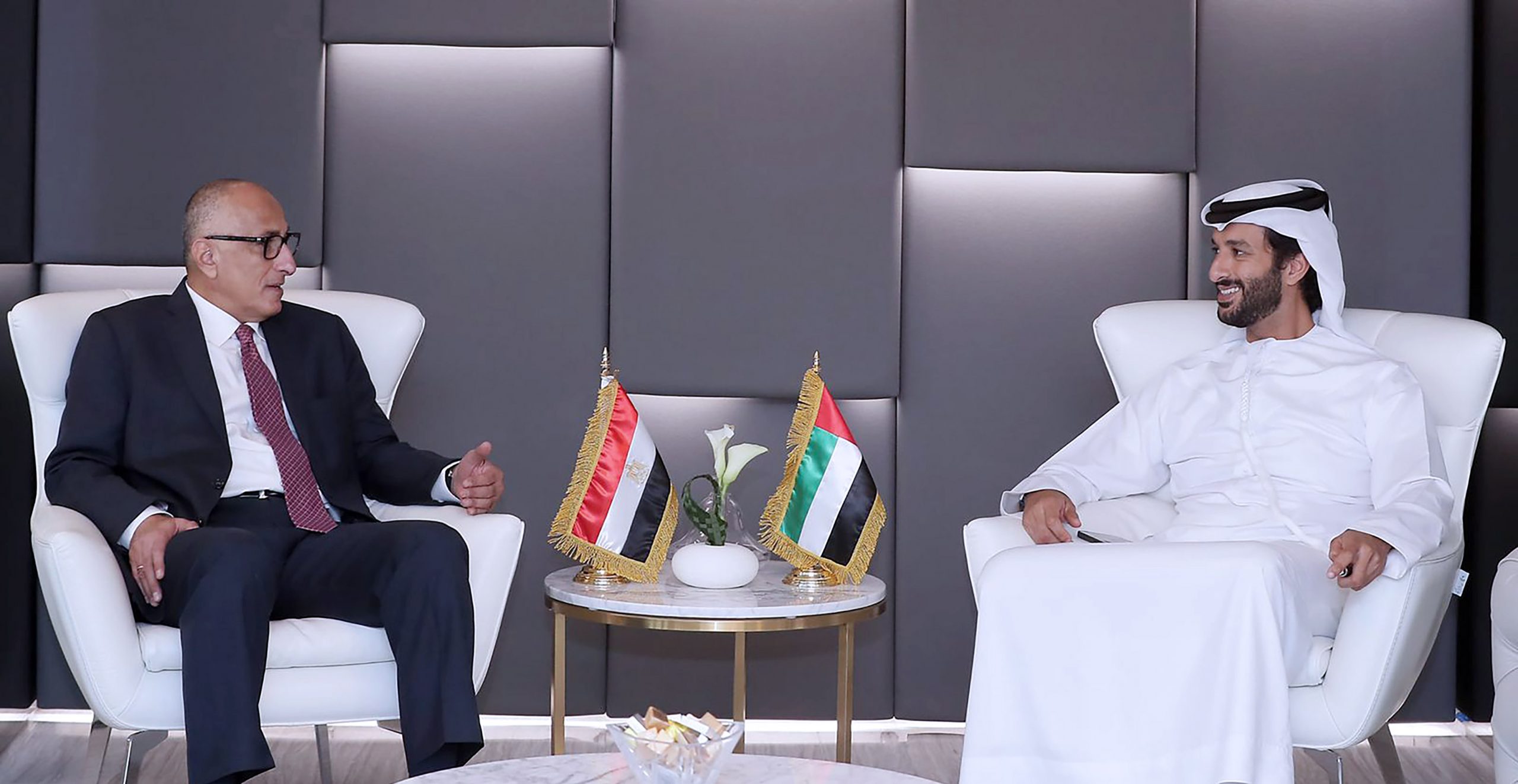 محافظ المركزى يبحث مع وزير الاقتصاد الإماراتى فرص التعاون فى القطاع المالى