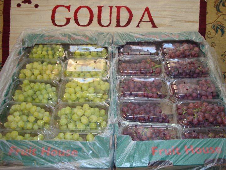 "جودة للحاصلات" تستثمر 38 مليون جنيه فى مصنعى التجميد والورقيات