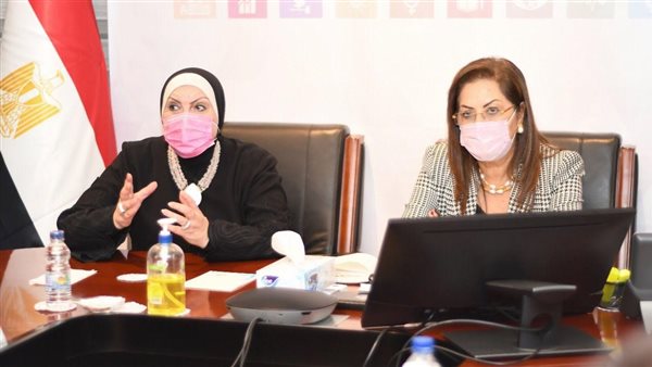 "التخطيط" و"الصناعة" تناقشان آليات تنفيذ محور التنمية الاقتصادية بمبادرة "حياة كريمة"