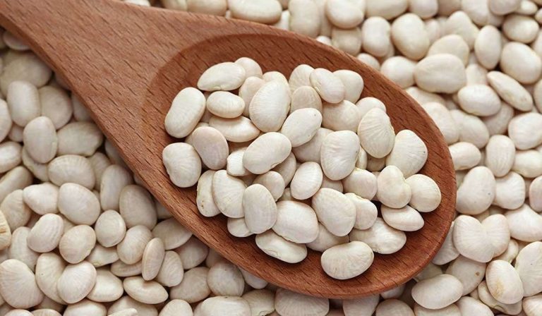 الفاصوليا الجافة