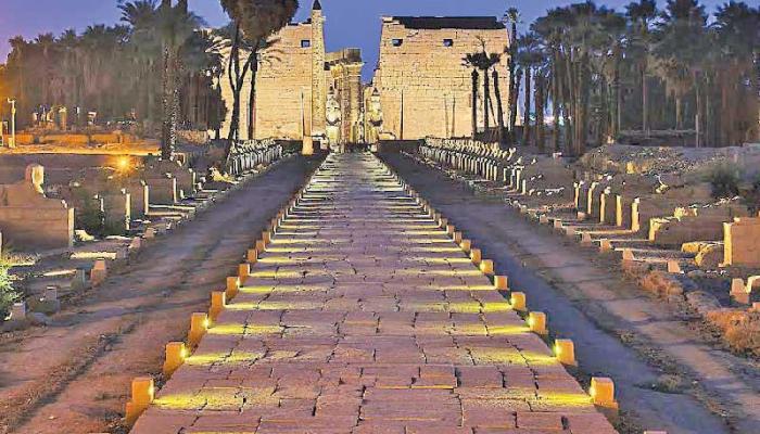 “ميديا هب” تتولى تنظيم احتفالية طريق الكباش