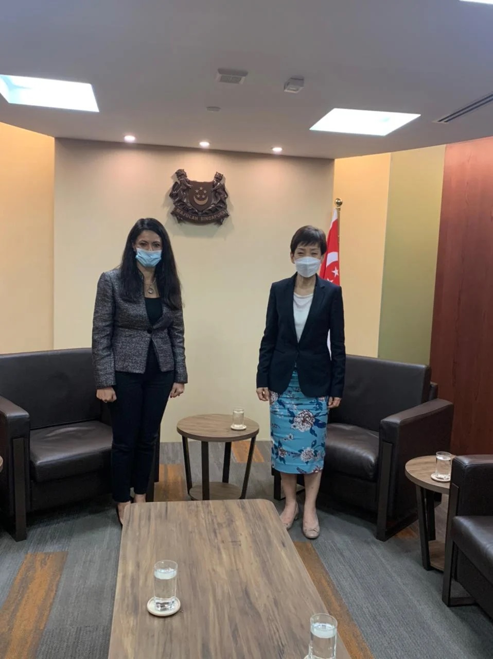 "المشاط" تبحث مع وزيرة البيئة السنغافورية فرص التعاون المستقبلية