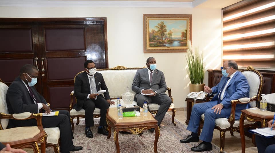 "التنمية المحلية" تبحث مع وفد كاميرونى التعاون المشترك فى صناعة الأخشاب والأثاث