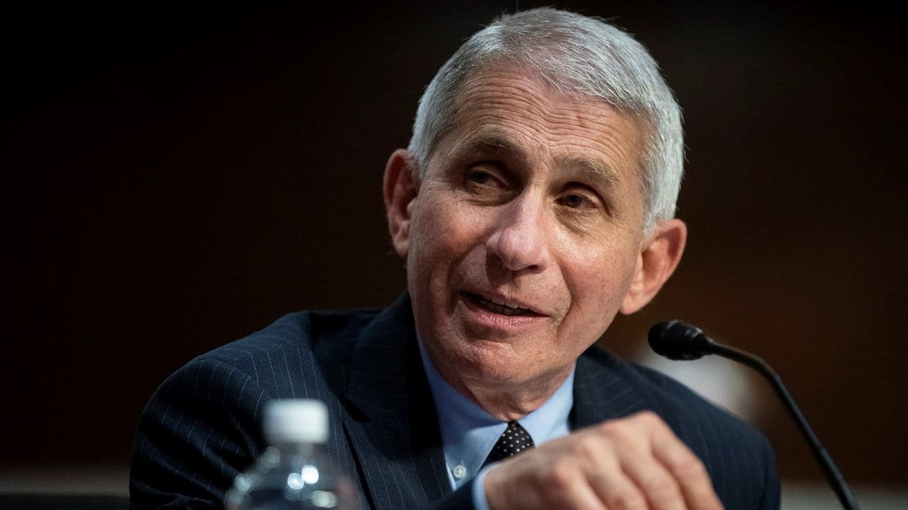 انتوني فاوتشي