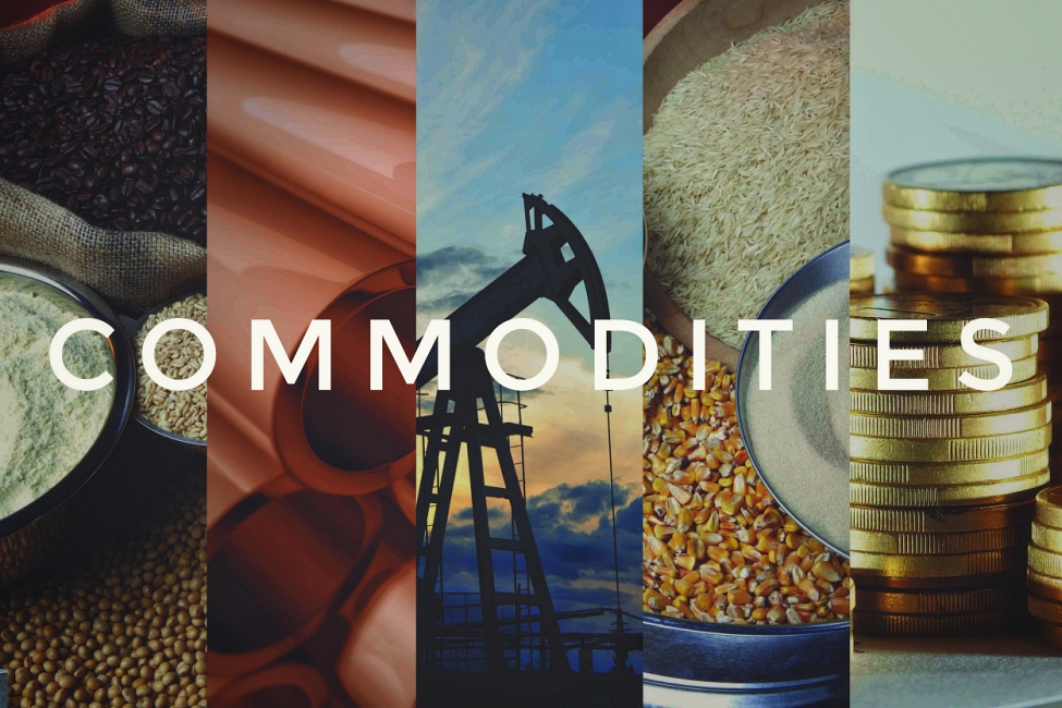 السلع الأساسية