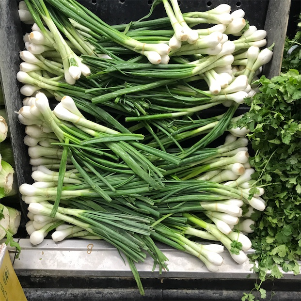 البصل الأخضر المصري