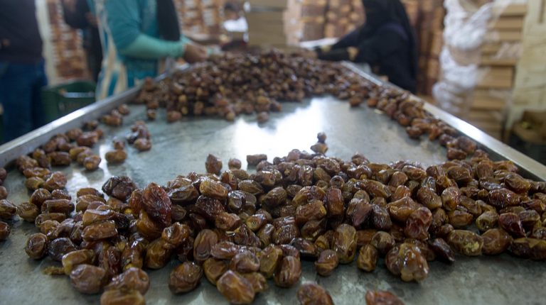 التمور ؛ صادرات التمور ؛ صناعة التمور