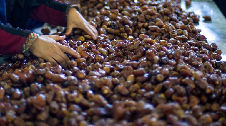 صادرات التمور