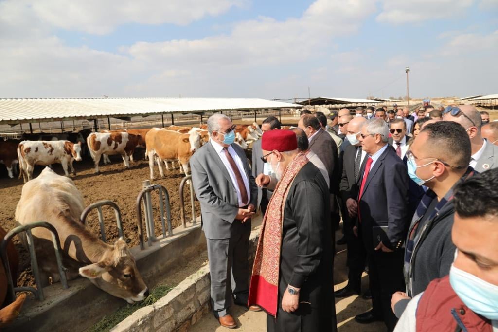 "الزراعة": تسليم 200 رأس ماشية لصغار المربين من السلالات عالية الإنتاجية