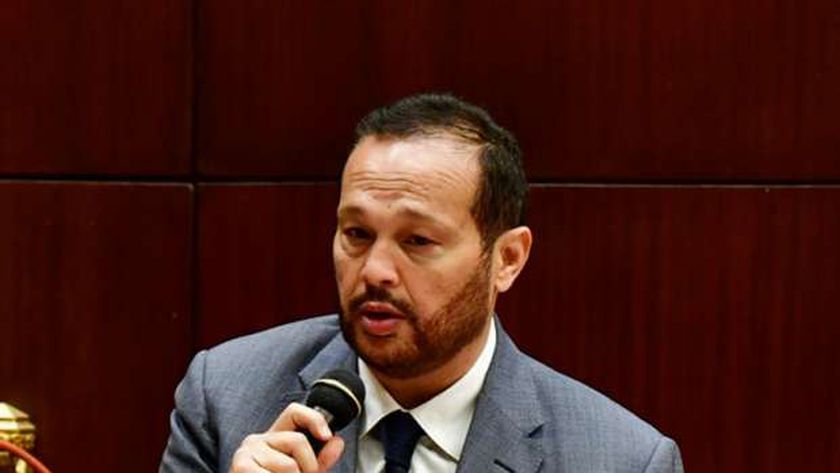 محمد حلاوة رئيس لجنة الصناعة فى مجلس الشيوخ