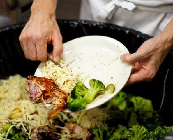 رئيس الصندوق الدولي للتنمية الزراعية “إيفاد”: العالم يهدر 30% من الغذاء