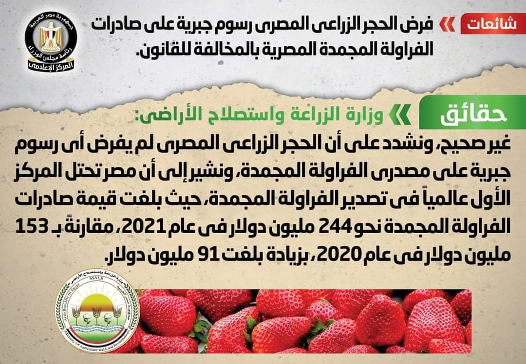الحكومة تنفى فرض رسوم جبرية على صادرات الفراولة المجمدة المصرية بالمخالفة للقانون