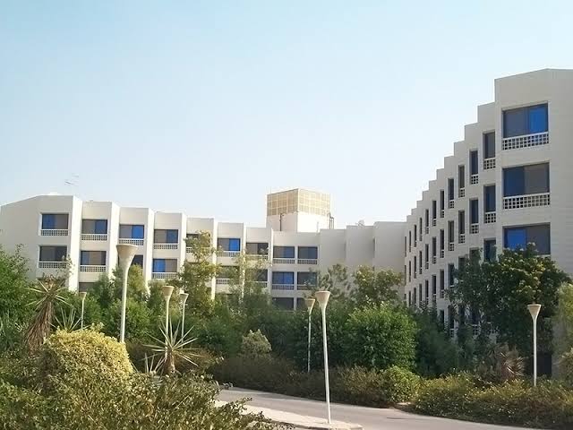 “الجيزة للمقاولات” تشتري 60 ألف سهم خزينة بجلسة الخميس