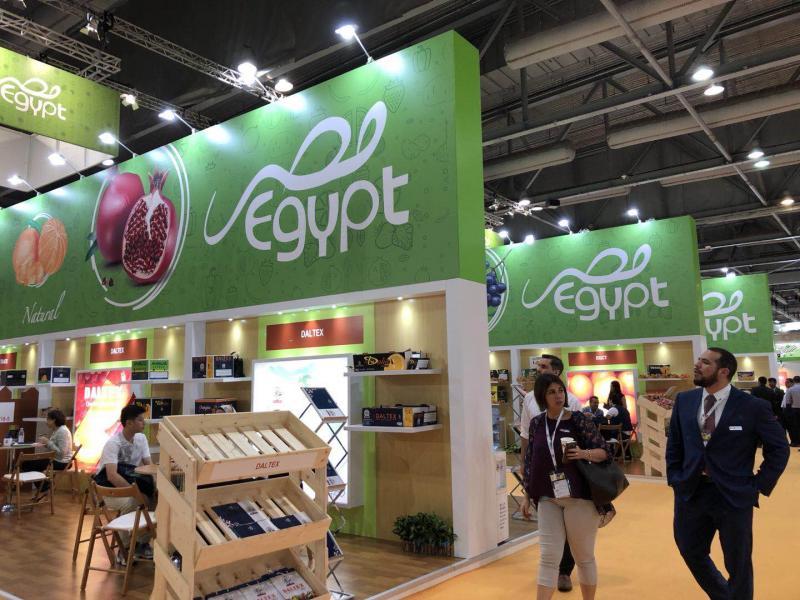 23 شركة مصرية تنجح في إبرام تعاقدات تصديرية بقيمة 30 مليون يورو خلال فعاليات معرض فروت لوجستيكا