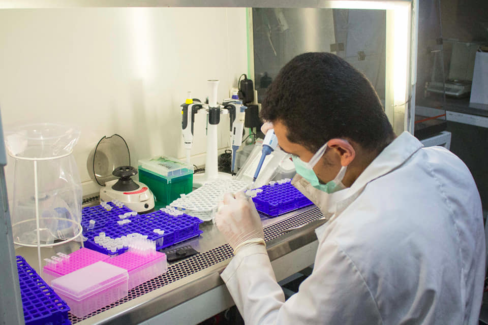 الزراعة: “متبقيات المبيدات” يفحص 2000 عينة للسوق المحلي والتصدير