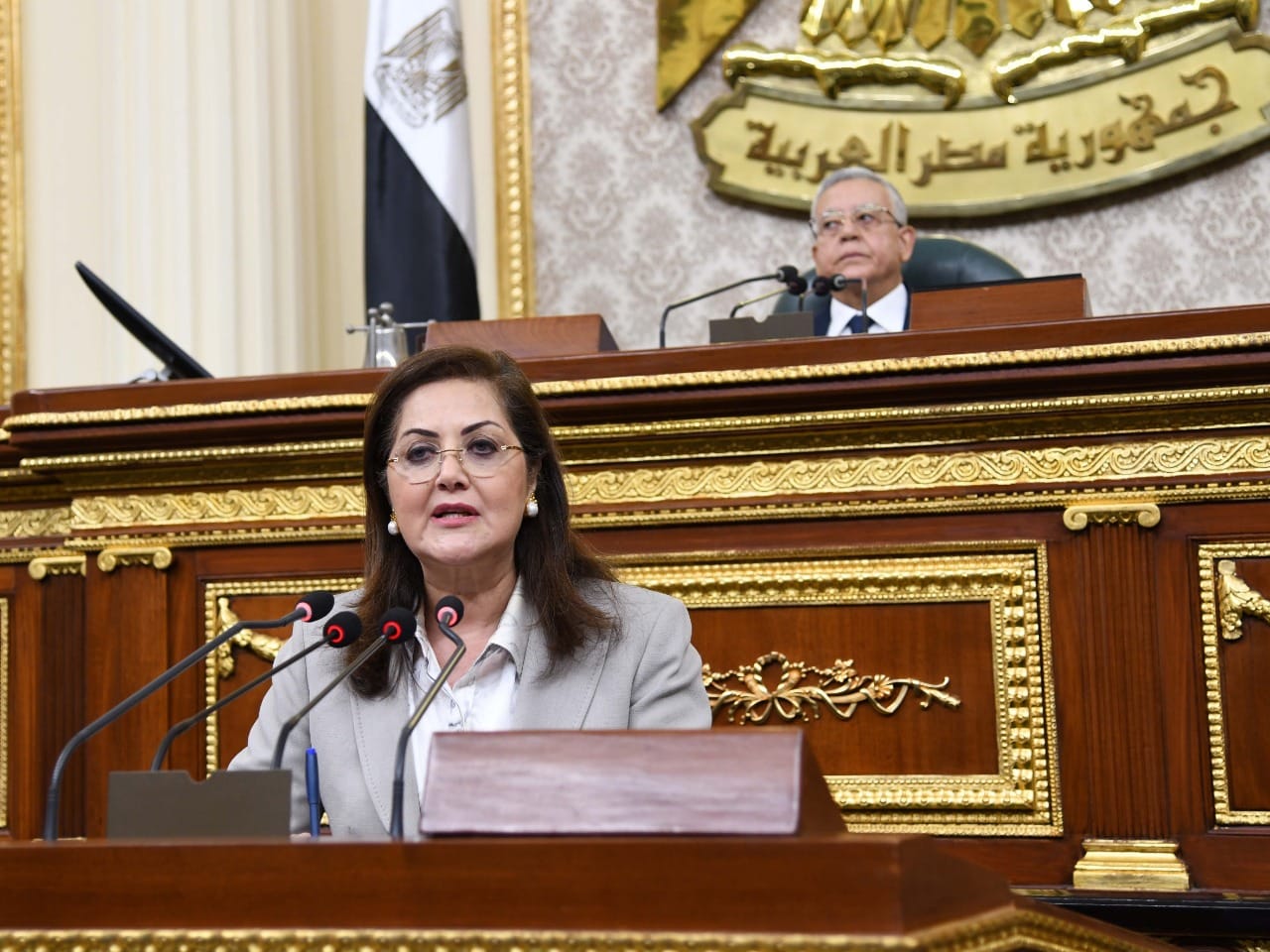 هالة السعيد وزيرة التخطيط والتنمية الاقتصادية أمام مجلس النواب