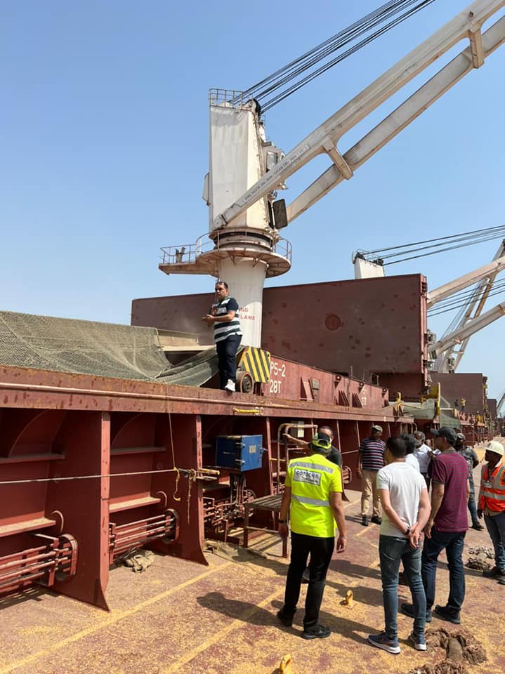 "الزراعة" تنشر تفاصيل تحليل وشحن أول مركب قمح هندى إلى مصر