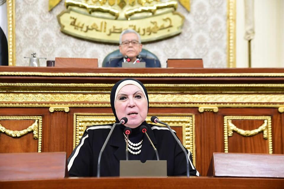 وزيرة التجارة أمام "النواب"