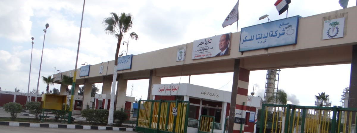 “الدلتا للسكر” تنتظر طفرة فى نتائج الأعمال