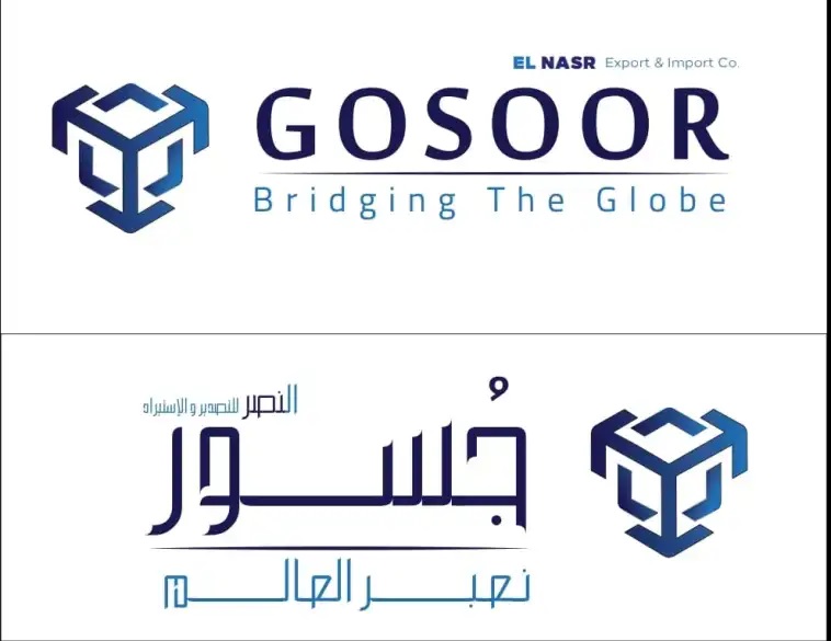 "قطاع الأعمال": إطلاق الكتالوج الإلكتروني و6 فروع خارجية لـ"جسور" 3 يوليو