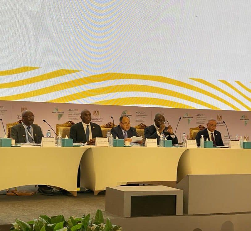 8 مليارات دولار من "التصدير والاستيراد الأفريقى" للتعامل مع الآثار الاقتصادية لـ«كورونا»