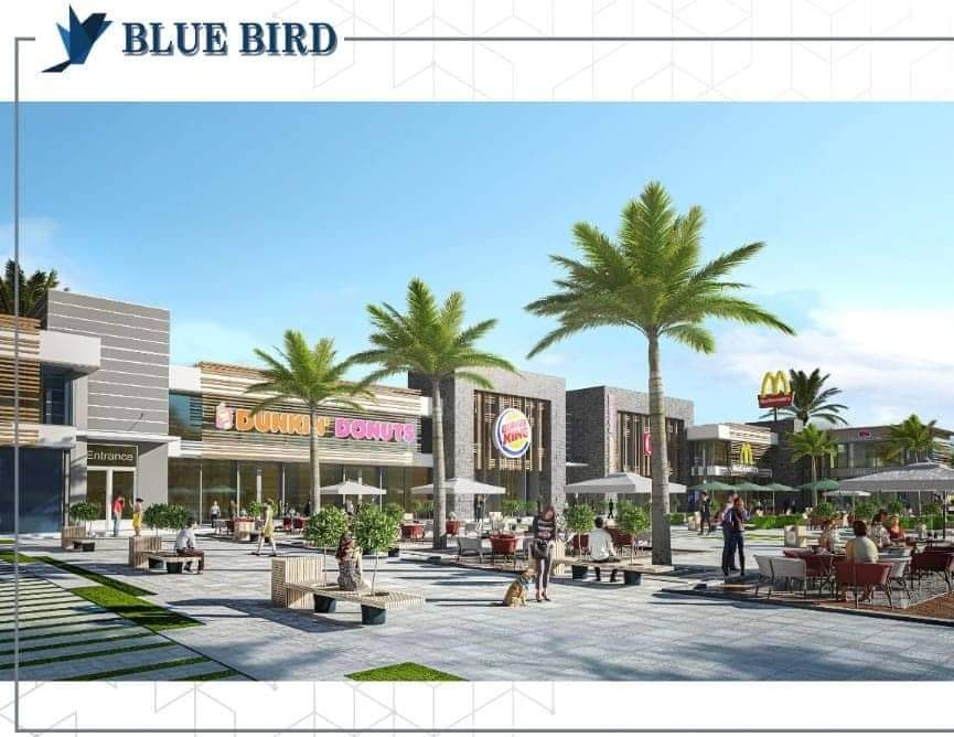 “وايت إيدچ” تطرح مشروع “بلو بيرد” فى العاصمة الإدارية باستثمارات 2.5 مليار جنيه