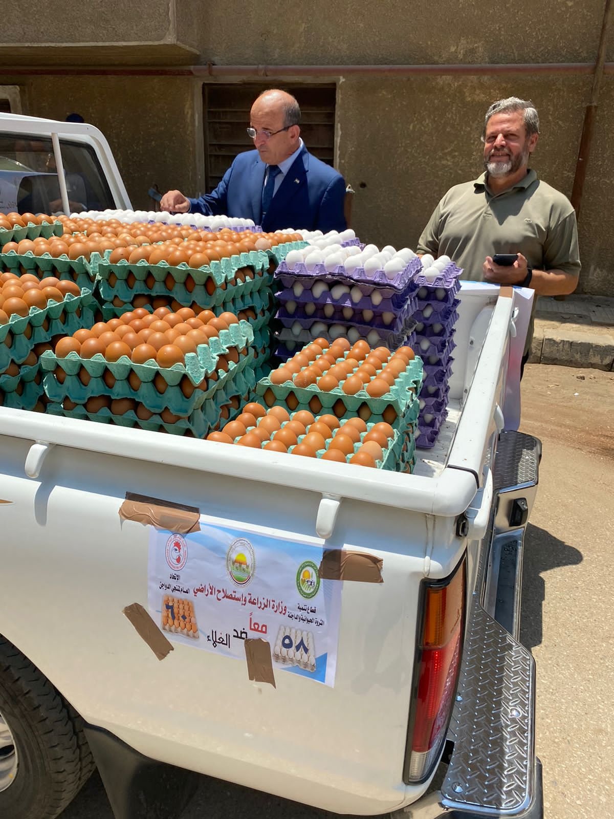 “الزراعة” تواصل طرح كميات من بيض المائدة بمنافذها الثابتة والمتحركة بسعر 58 جنيهًا للكرتونة