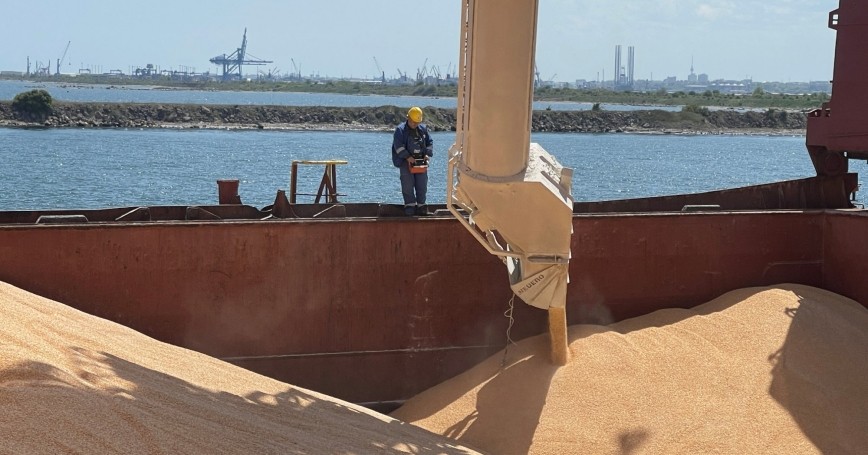 صادرات الحبوب الأوكرانية